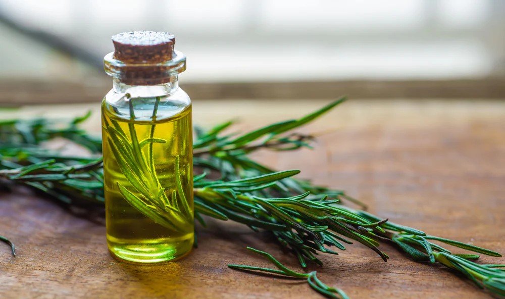 Rosemary Oil: A Natural Ally in the Hair Growth Battle?