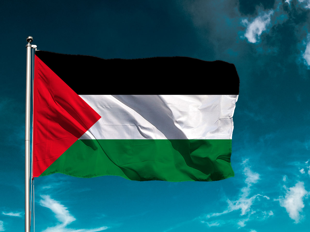 Palestinian Flag Story A Banner of Hope and Struggle