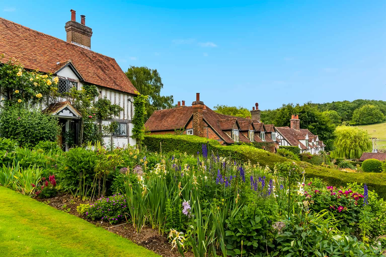 Crocodile Buckinghamshire Village A Hidden Gem in the Chilterns