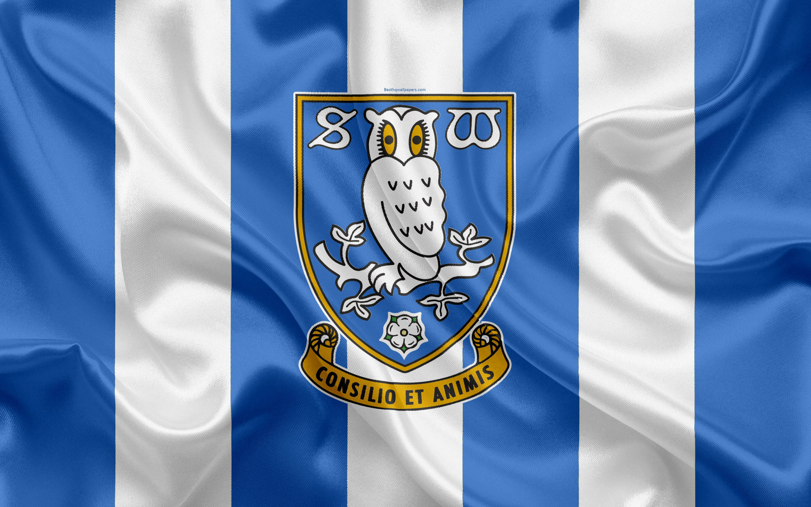 Sheffield Wednesday A Storied Football Club