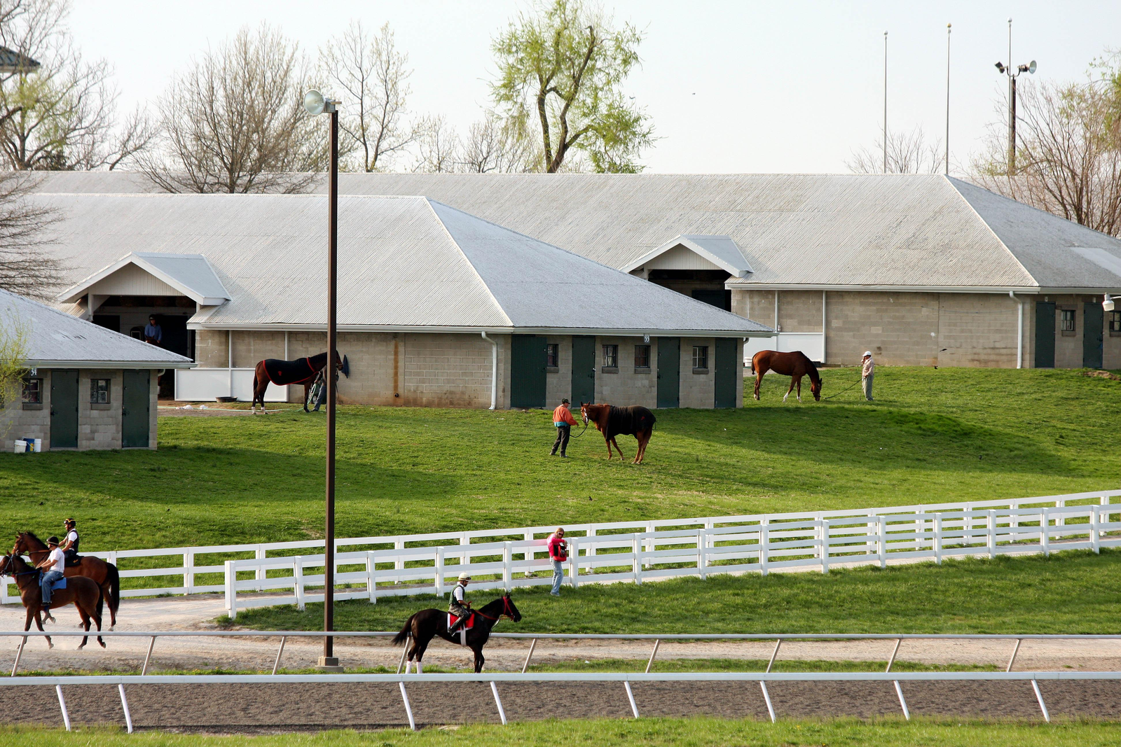 ABC’s Coverage of Horse Racing A Deep Dive