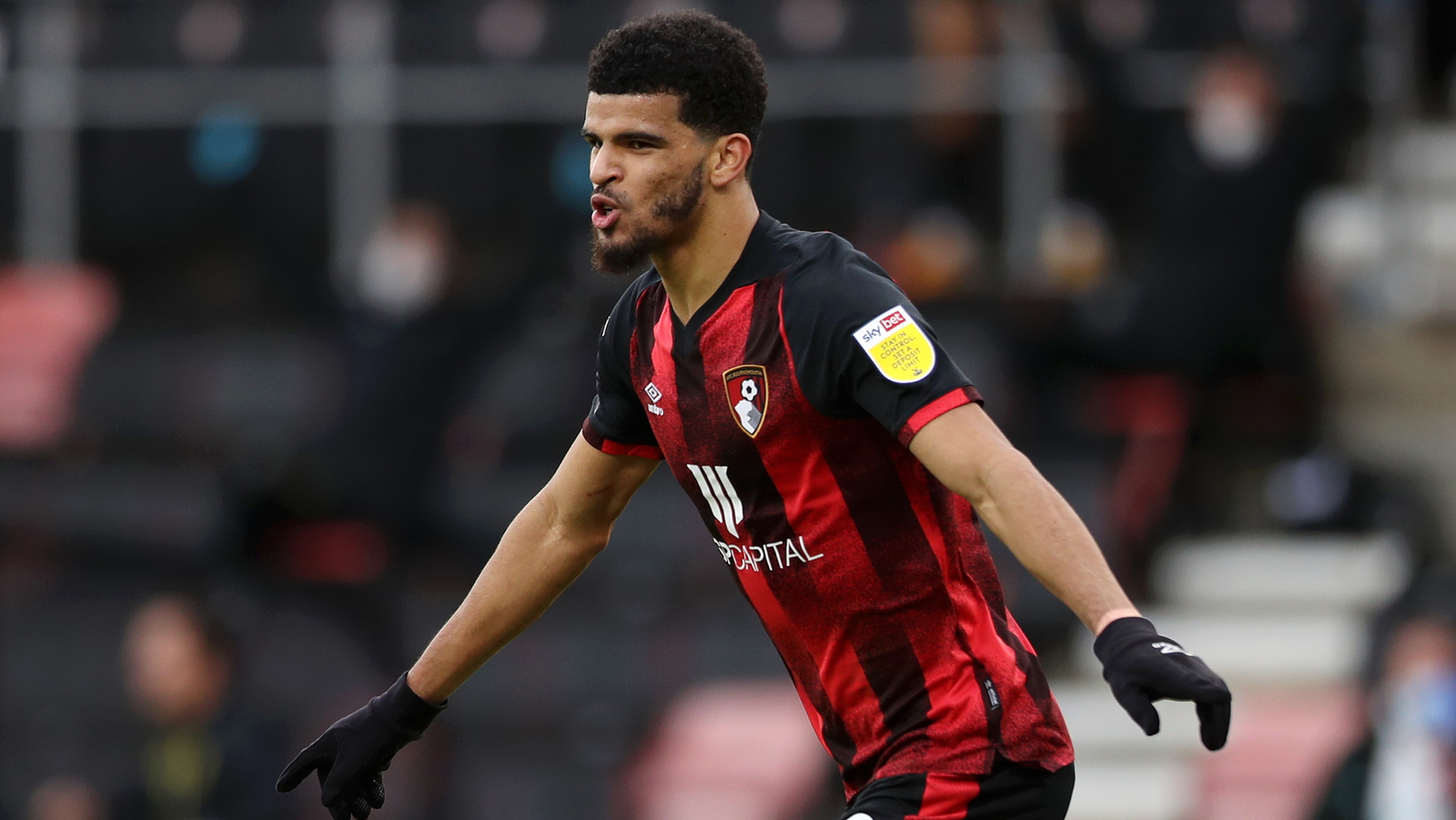 Dominic Solanke A Rising Star in English Football