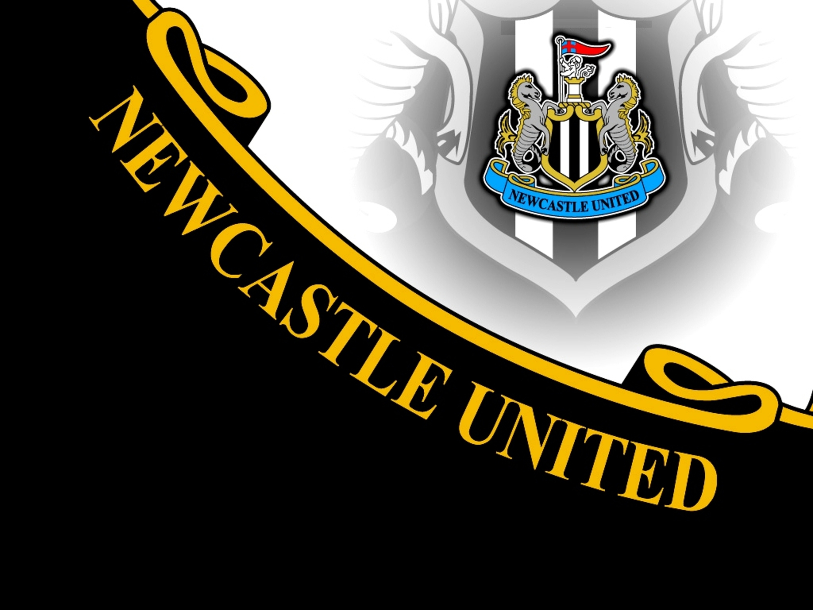 Newcastle United A Resurgent Force in English Football